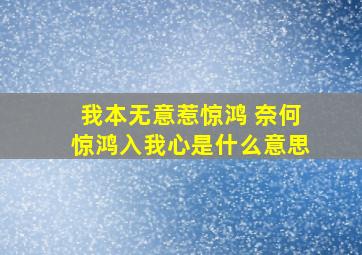 我本无意惹惊鸿 奈何惊鸿入我心是什么意思